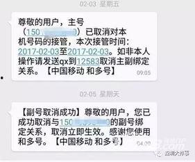 老挝骗局爆料视频最新,最新爆料视频揭露惊人内幕